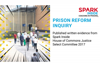 Prison reform inquiry
