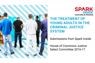 Treatment of young adults in the justice system